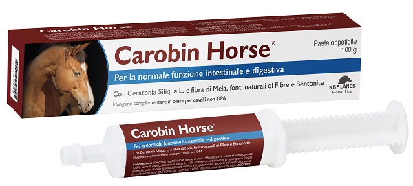CAROBIN HORSE PASTA APPETIBILE SIRINGA 100 G - Farmaciapacini.it