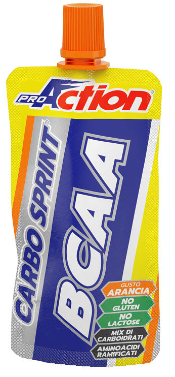 PROACTION CARBO SPRINT ENDURANCE BCAA ALL'ARANCIA 50 ML - Farmaciapacini.it
