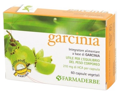 GARCINIA 60 CAPSULE 34,2 G - Farmaciapacini.it