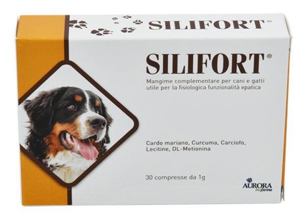 INTEGRATORE ALIMENTARE DETOSSICANTE EPATICO - Farmaciapacini.it