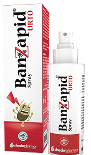 BANZAPID SPRAY TRATTAMENTO 100 ML - Farmaciapacini.it