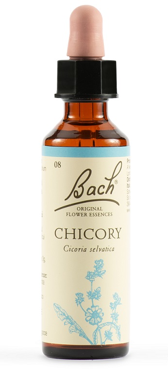 CHICORY BACH ORIG 20 ML - Farmaciapacini.it