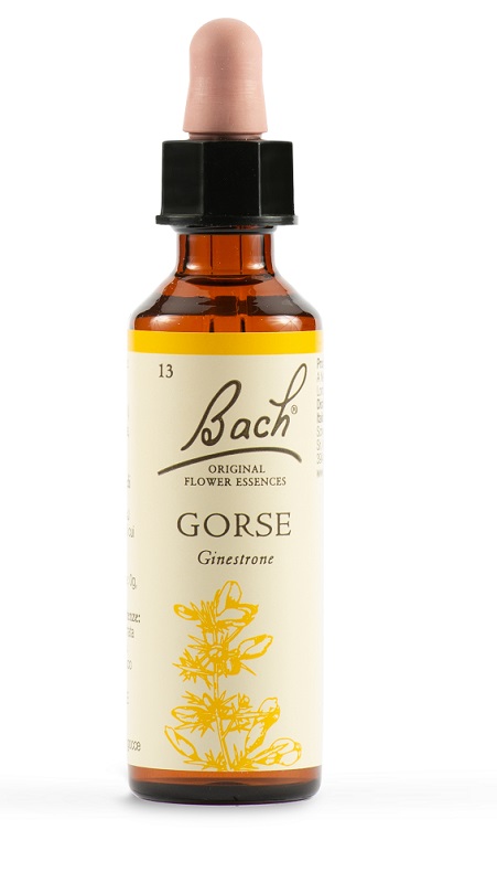 GORSE BACH ORIG 20 ML - Farmaciapacini.it