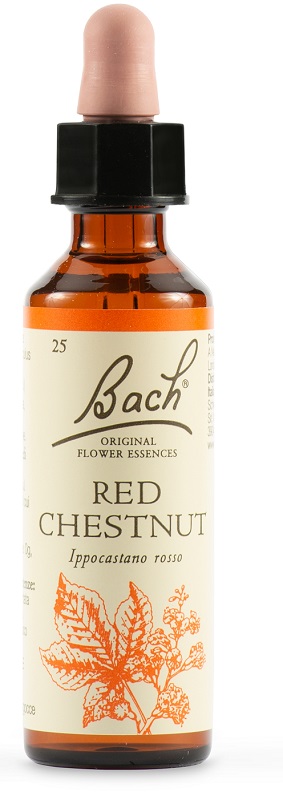 RED CHESTNUT BACH ORIG 20 ML - Farmaciapacini.it