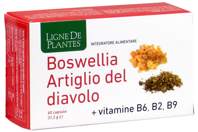 BOSWELLIA ARTIGLIO DIAVOLO VITAMINE B2 B6 B9 60 CAPSULE - Farmaciapacini.it