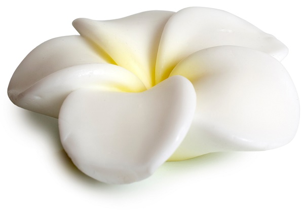 POKHARA SAPONETTA GARDENIA - Farmaciapacini.it