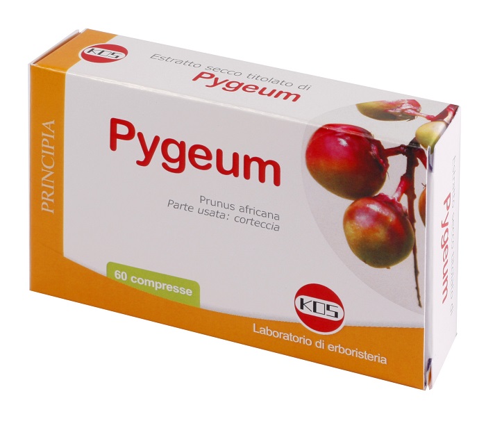PYGEUM ESTRATTO SECCO 60 COMPRESSE - Farmaciapacini.it