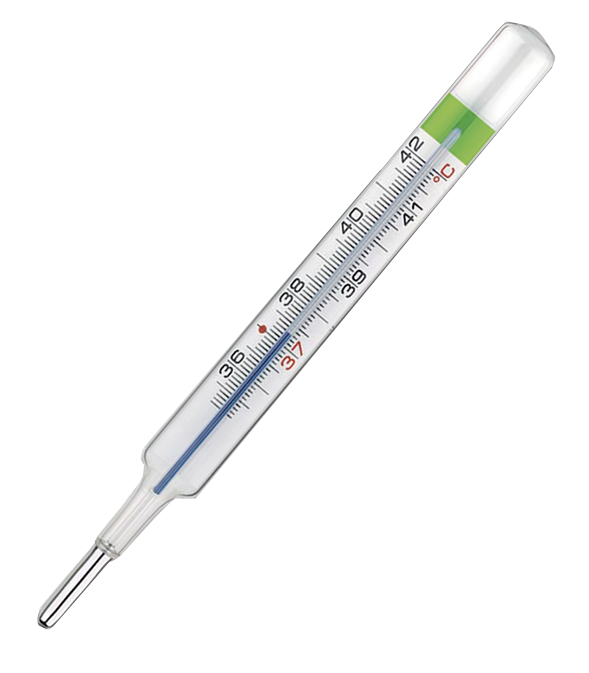 COLPHARMA THERMO GREEN PLUS TERMOMETRO - Farmaciapacini.it