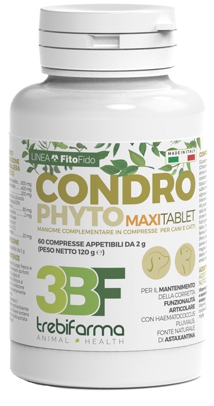 CONDROPHYTO 60 COMPRESSE 2 G - Farmaciapacini.it
