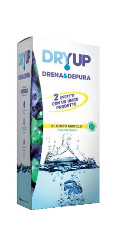 DRYUP MIRTILLO 300 ML - Farmaciapacini.it