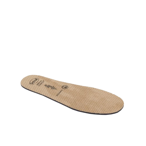 CLOG EVO MEM CUS UNI TAU 34-35 - Farmaciapacini.it
