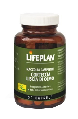 CORTECCIA LISCIA DI OLMO 50 CAPSULE - Farmaciapacini.it