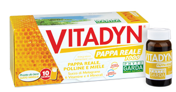 VITADYN PAPPA REALE 1000 10 FLACONCINI 10 ML - Farmaciapacini.it