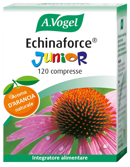 ECHINAFORCE JUNIOR 120 COMPRESSE - Farmaciapacini.it