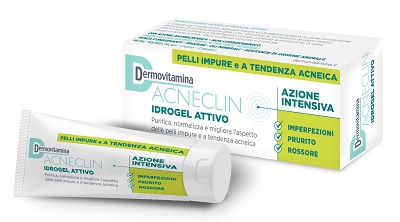 DERMOVITAMINA ACNECLIN IDROGEL 40 ML - Farmaciapacini.it