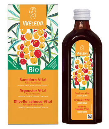 OLIVELLO SPINOSO VITAL SUCCO DI FRUTTA 250 ML - Farmaciapacini.it