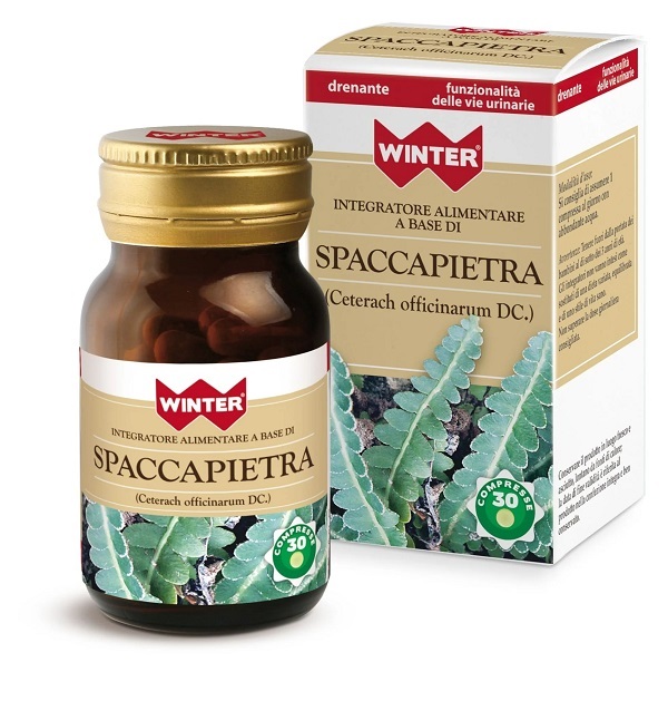 SPACCAPIETRA 30 COMPRESSE WINTER - Farmaciapacini.it