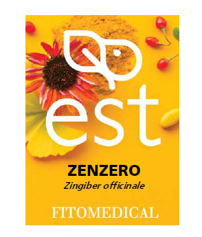ZENZERO ESTRATTO SECCO 60 TAVOLETTE - Farmaciapacini.it