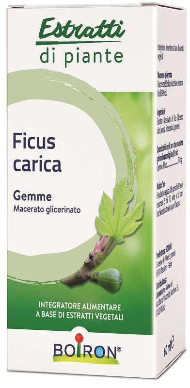 FICUS CARICA BOIRON MACERATO GLICERICO 60 ML - Farmaciapacini.it