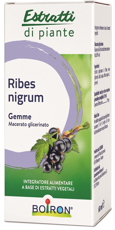RIBES NIGRUM MACERATO GLICERICO 60 ML INT - Farmaciapacini.it