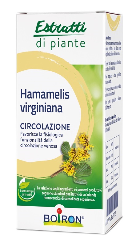 HAMAMELIS VIRGINIANA ESTRATTO IDROALCOLICO 60 ML - Farmaciapacini.it