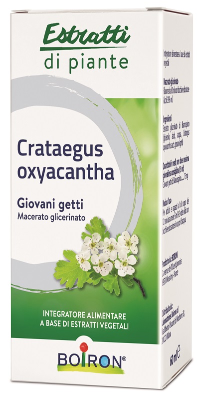 CRATAEGUS OXYACANTHA MACERATO GLICERICO 60 ML INT - Farmaciapacini.it