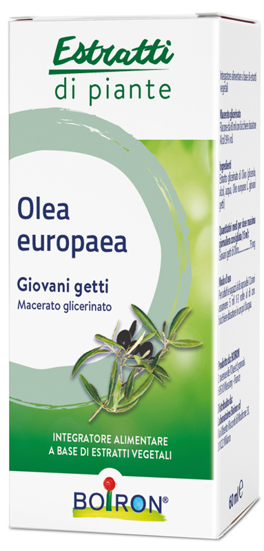 OLEA EUROPAEA BOIRON MACERATO GLICERICO 60 ML - Farmaciapacini.it