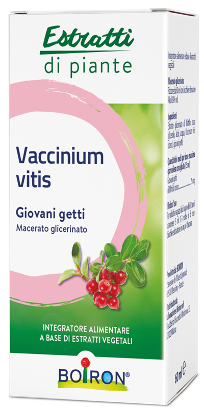 VACCINIUM VITIS MACERATO GLICERICO 60 ML INT - Farmaciapacini.it