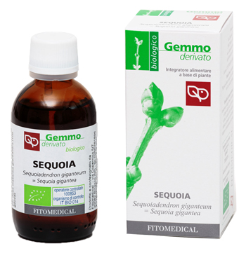 SEQUOIA MACERATO GLICERICO 50 ML BIO - Farmaciapacini.it
