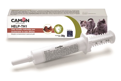 HELP-TH1 PASTA SIRINGA 30 G - Farmaciapacini.it