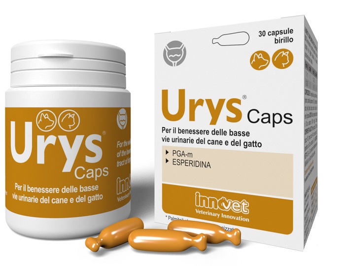 URYS CAPS 30 CAPSULE - Farmaciapacini.it