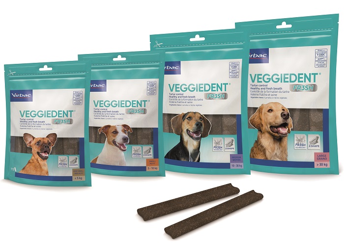 VEGGIEDENT FR3SH S 15 STICK - Farmaciapacini.it