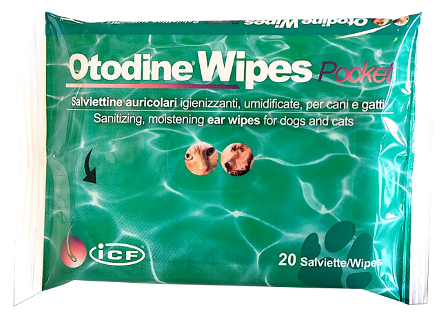 OTODINE WIPES POCKET 20 PEZZI - Farmaciapacini.it
