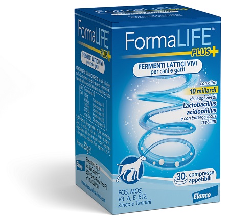 FORMALIFE PLUS FERMENTI LATTICI VIVI 30 COMPRESSE APPETIBILI - Farmaciapacini.it